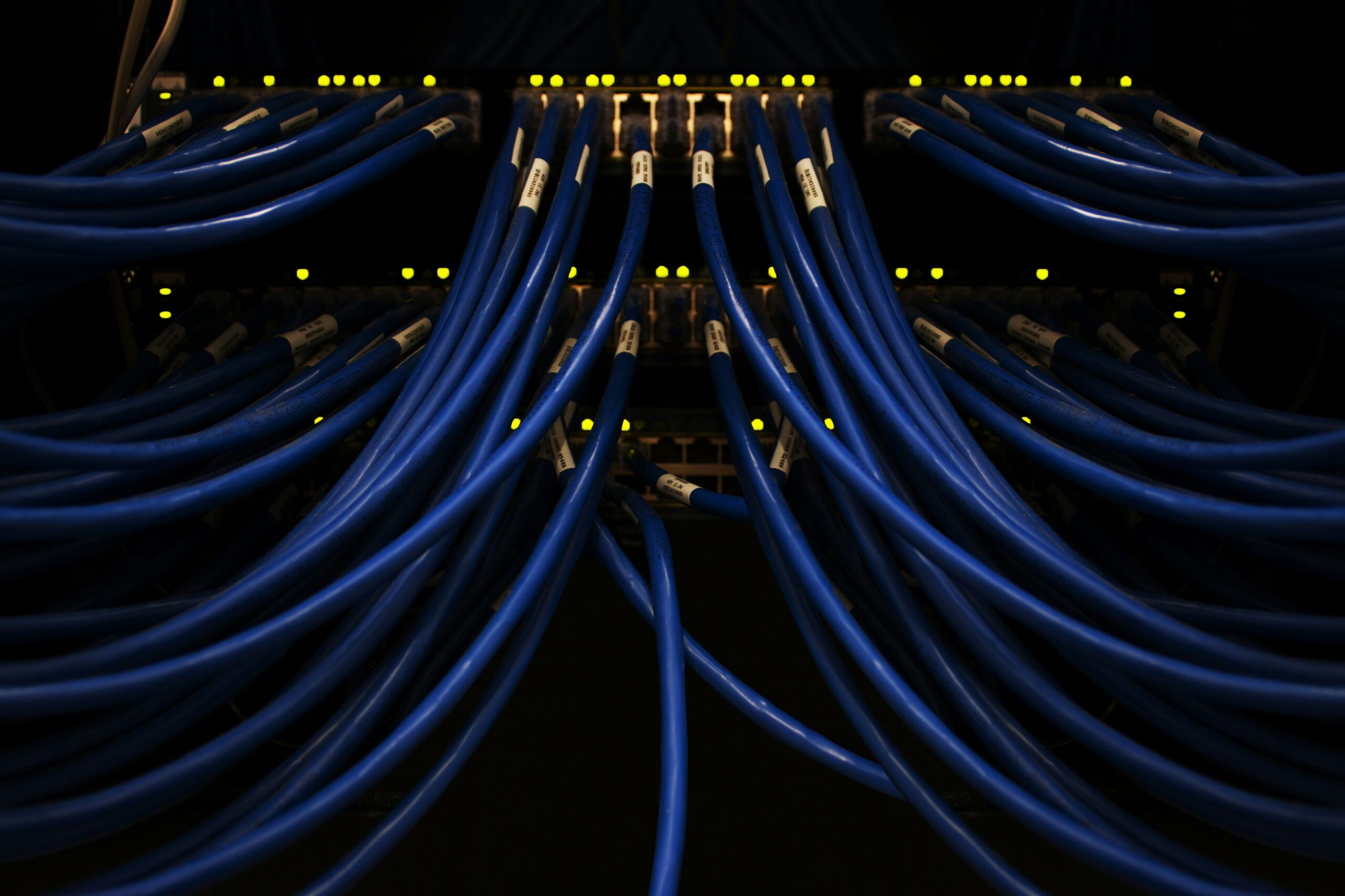 Close-up of blue network cables connected to server infrastructure with glowing LED status indicators